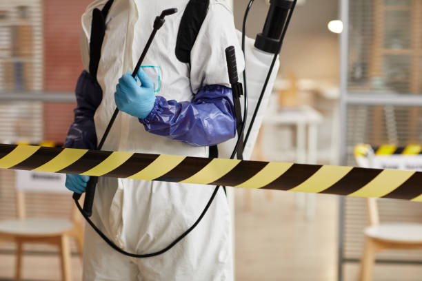 Professional Hoarding Cleanup technician working in Three Bridges, NJ
